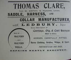 Clare Advert
